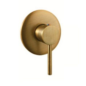 Shower Mixer - Brushed Gold