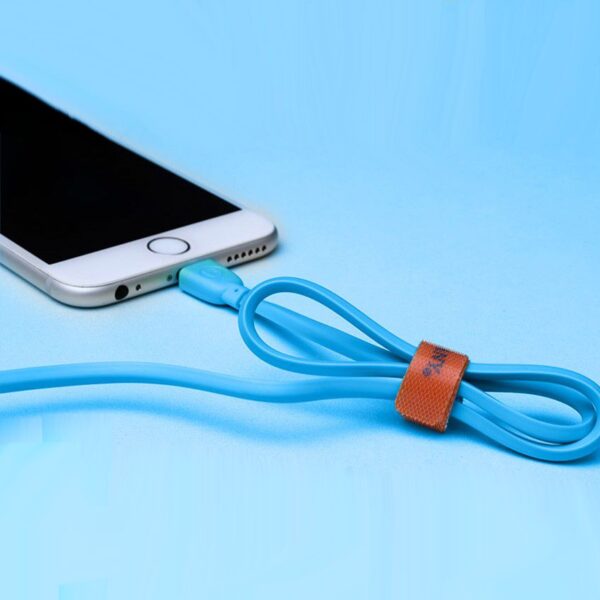 SI-100 | DATA Cable for iPhone - Image 2